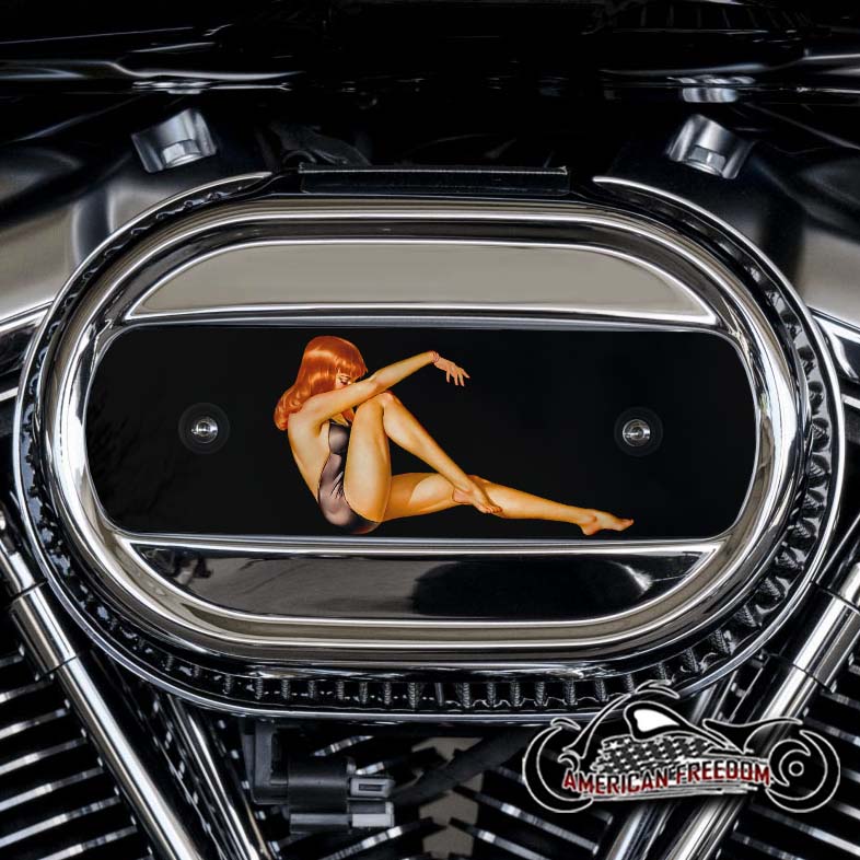 Harley Davidson M8 Ventilator Insert - Red Head Sitting